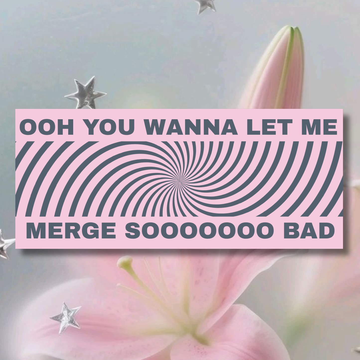 Ooh You Wanna Let Me Merge So Bad Bumper Sticker | Matte Laminated Vinyl