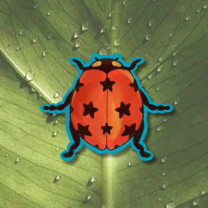 Lucky Ladybug Sticker | Matte Laminated Vinyl