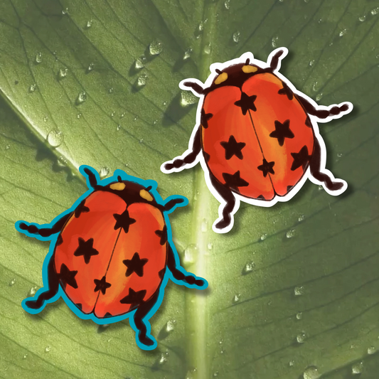 Lucky Ladybug Sticker | Matte Laminated Vinyl