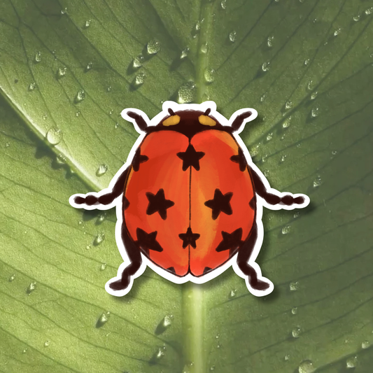Lucky Ladybug Sticker | Matte Laminated Vinyl